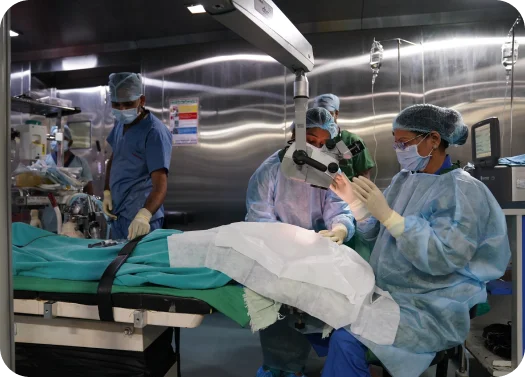 Medical staff in scrubs performing a procedure in an operating room.