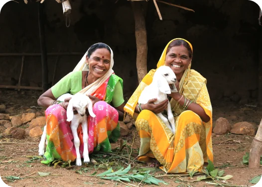 Two people sitting outside holding goats, dressed in colorful traditional clothing.